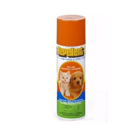  The Best Cat Repellent Option: Four Paws Keep Off! Dog & Cat Repellent Spray