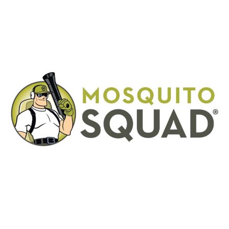  The Best Mosquito Control Services Option: Mosquito Squad