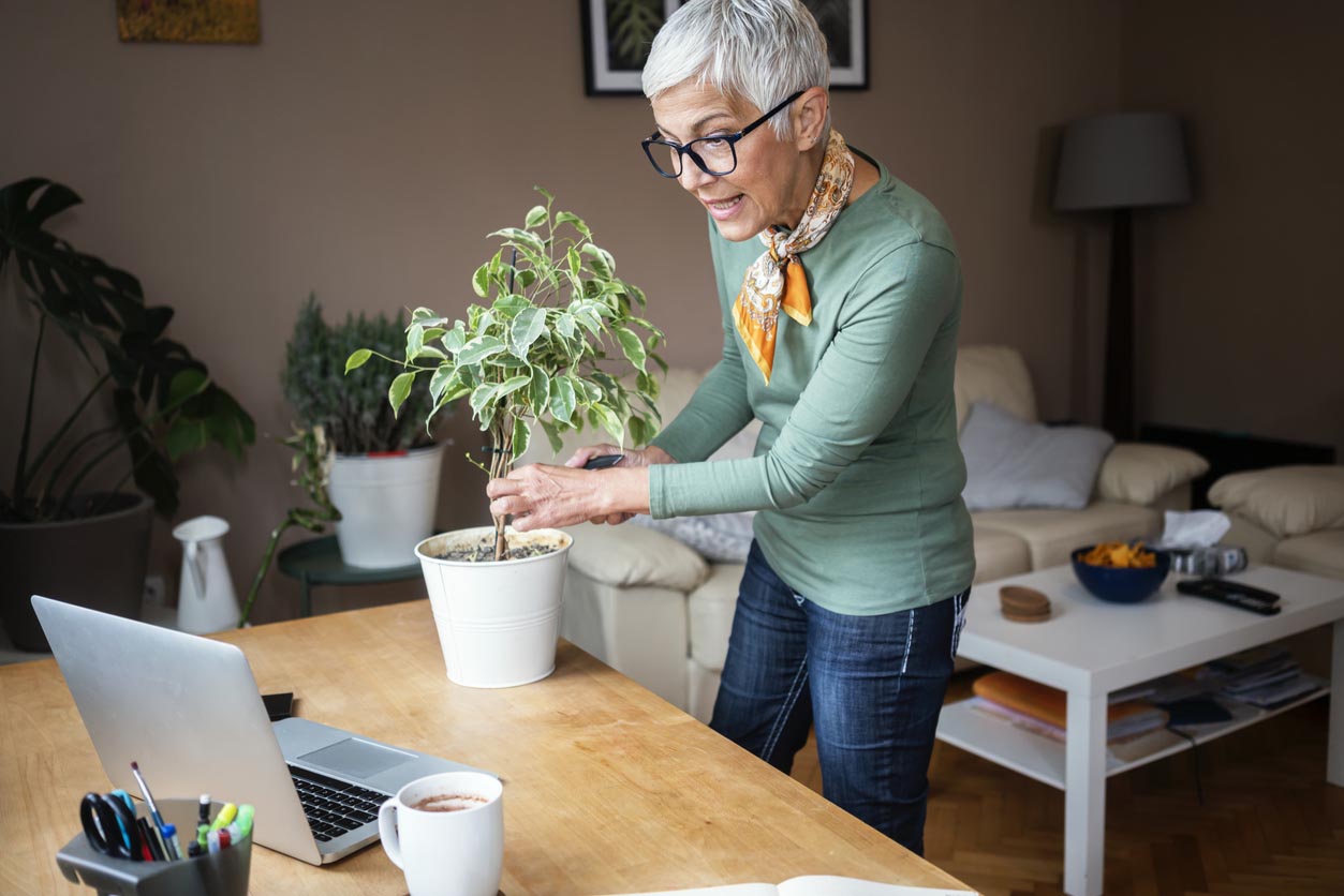 The Best Online Gardening Classes Options