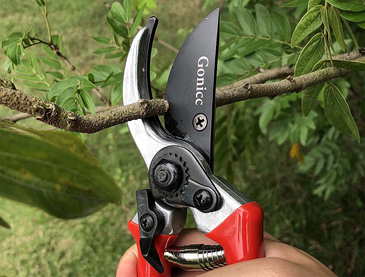 Things to Buy Now For Fall Option Pruning Shears