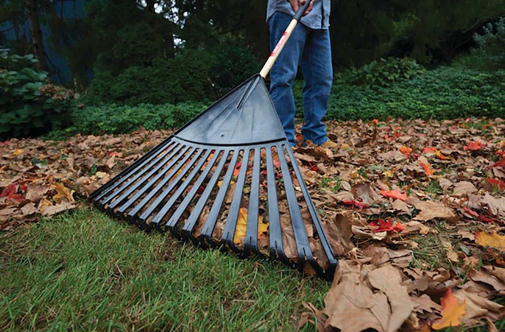 Things to Buy Now For Fall Option Rake