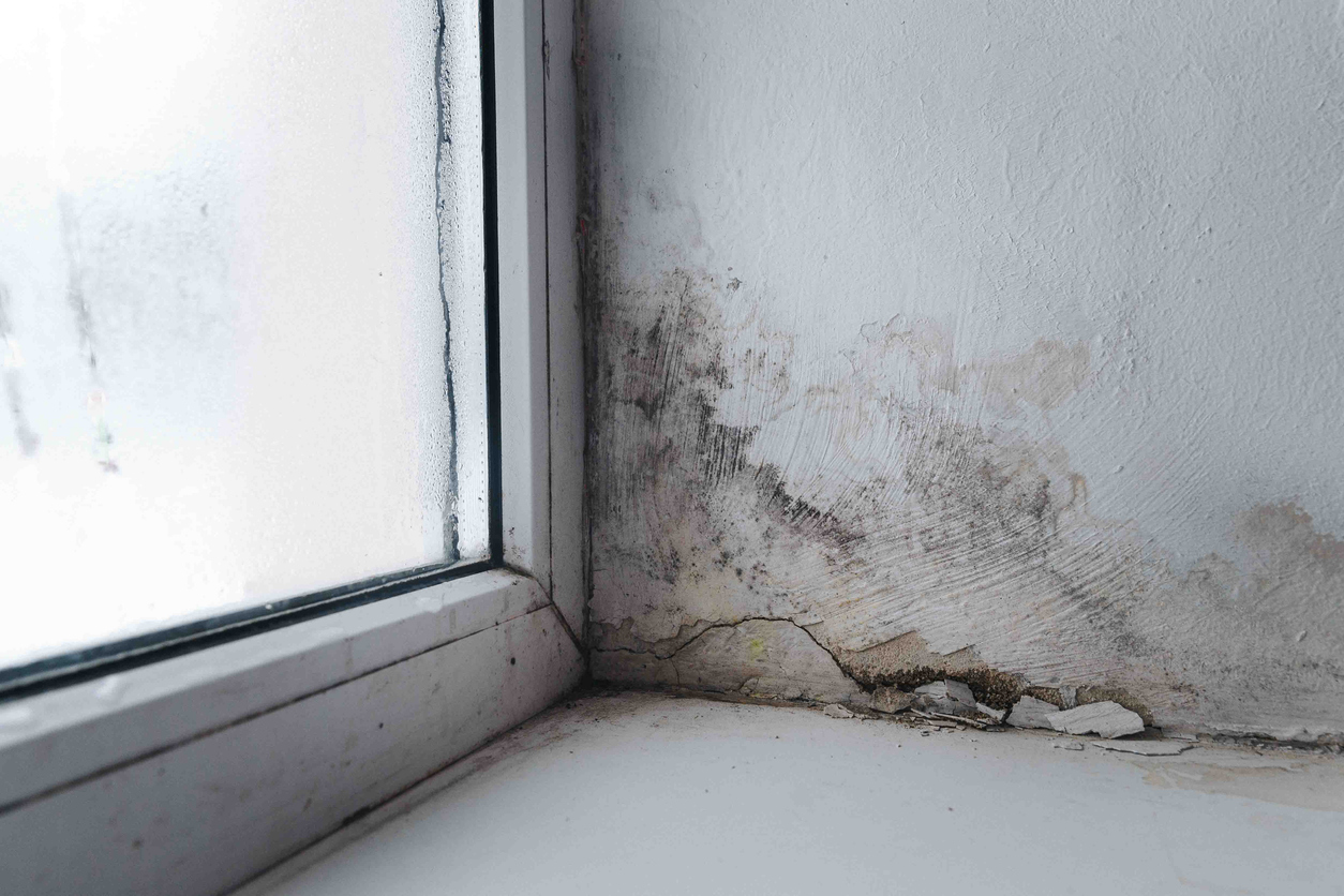 crack in basement wall