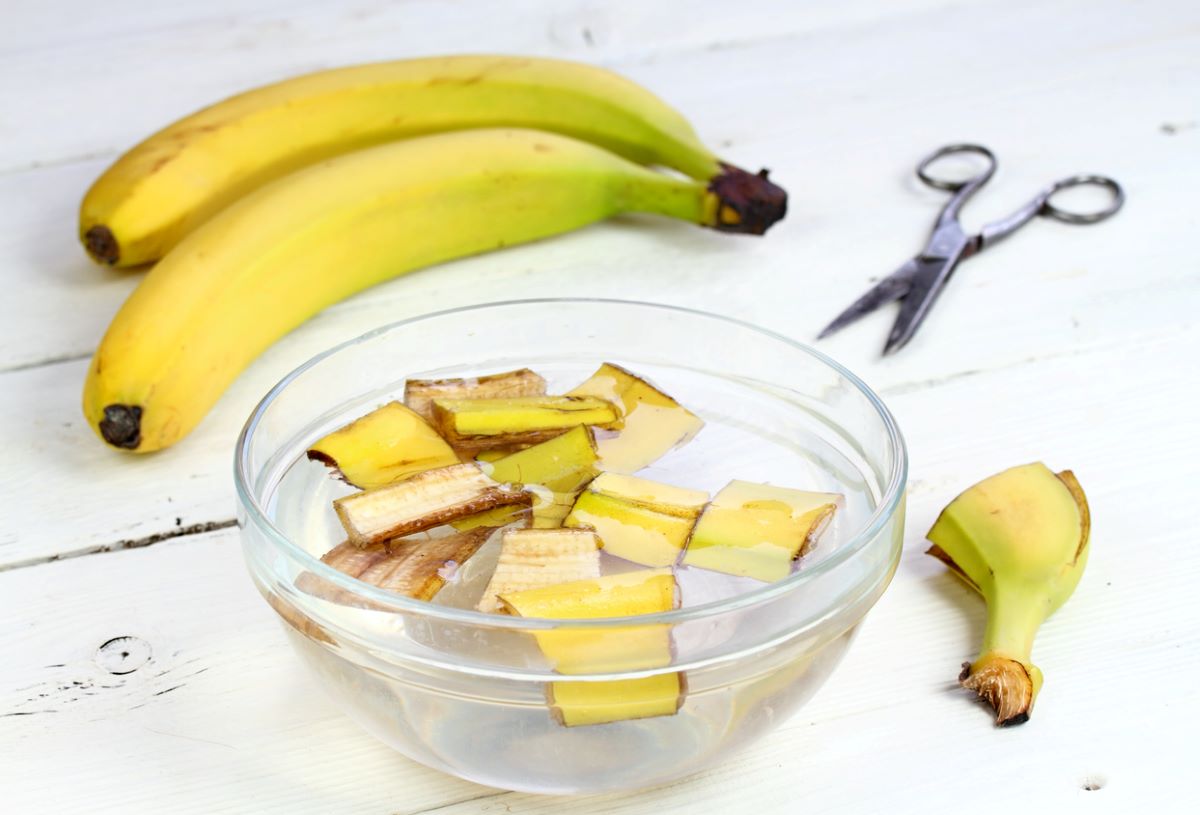 banana water for plants