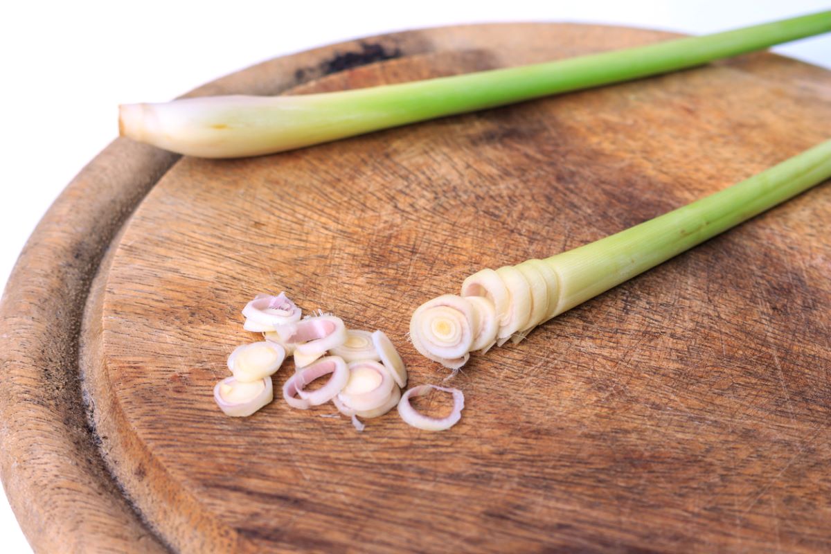 how to grow lemongrass