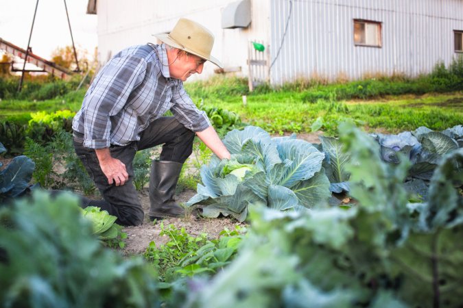 The Best Farm Boots Options