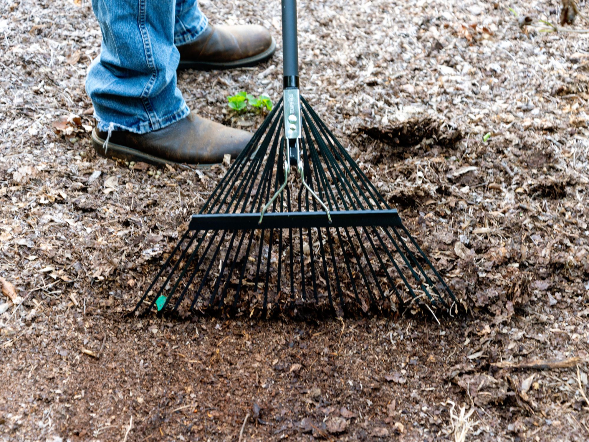 Best Rakes for Pine Needles