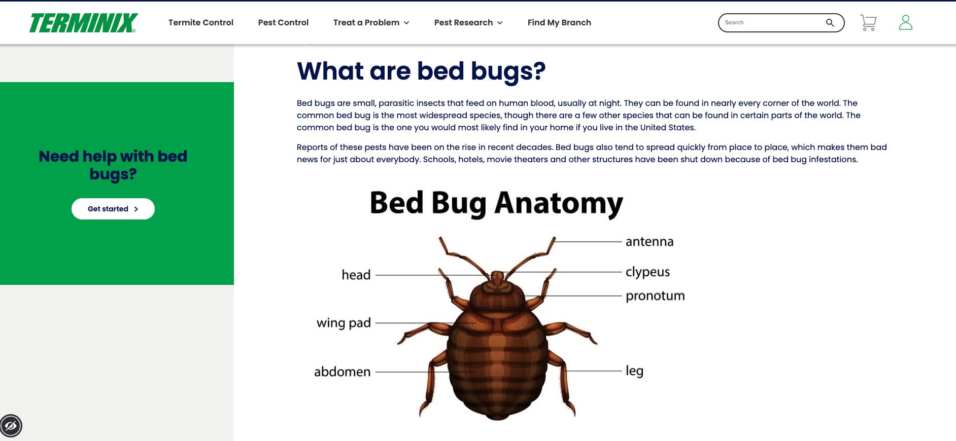 A screenshot of Terminix's website page that answers the question, "what are bed bugs?"