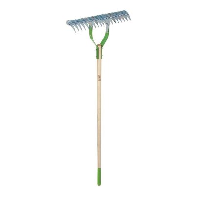 Green Ames 15 Adjustable Thatch Rake on white background