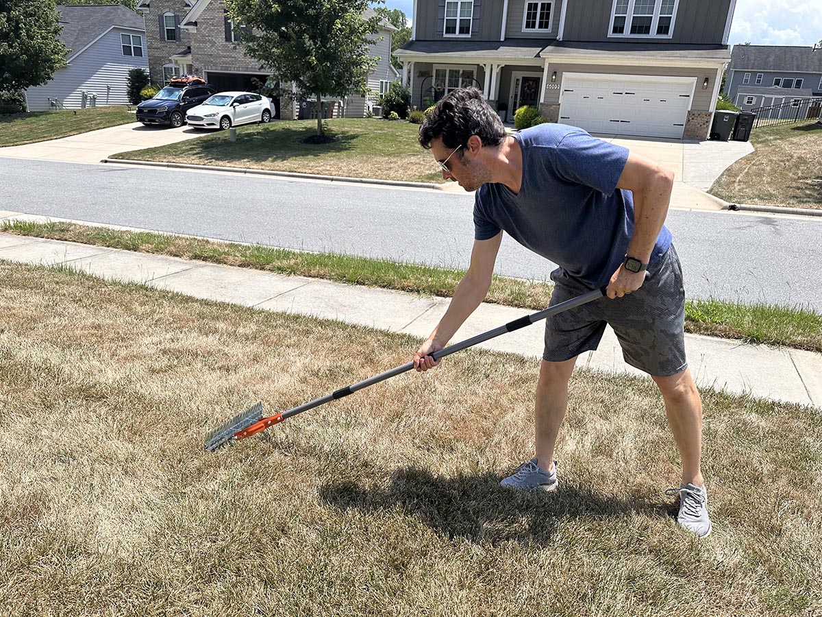 Person in blue shirt and sunglasses dethatching lawn with red rake