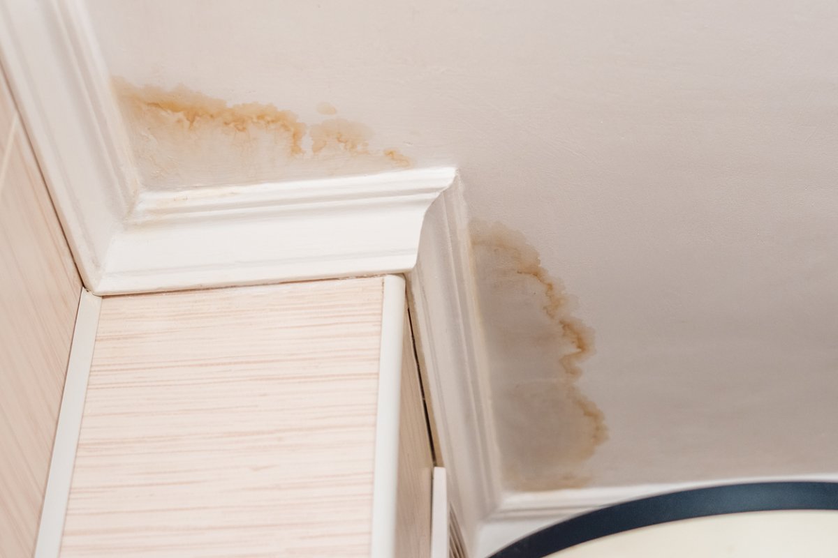 signs of water damage in walls