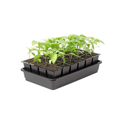 Best Seed Starting Trays Option: Gardener’s Supply GrowEase Seed Starter Kit