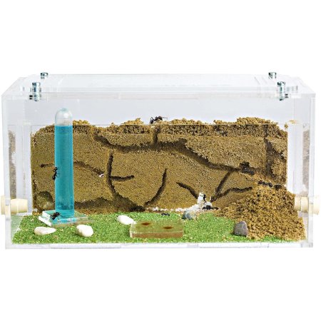  The Best Ant Farms Option: Anthouse 3D Starter Kit