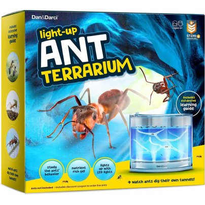 The Best Ant Farms Option: Dan & Darci Light-Up Ant Habitat