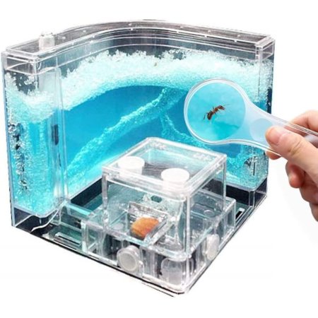  The Best Ant Farms Option: Navadeal Blue Gel Ant Castle Ant Farm