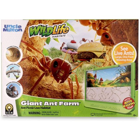  The Best Ant Farms Option: Uncle Milton Giant Ant Farm