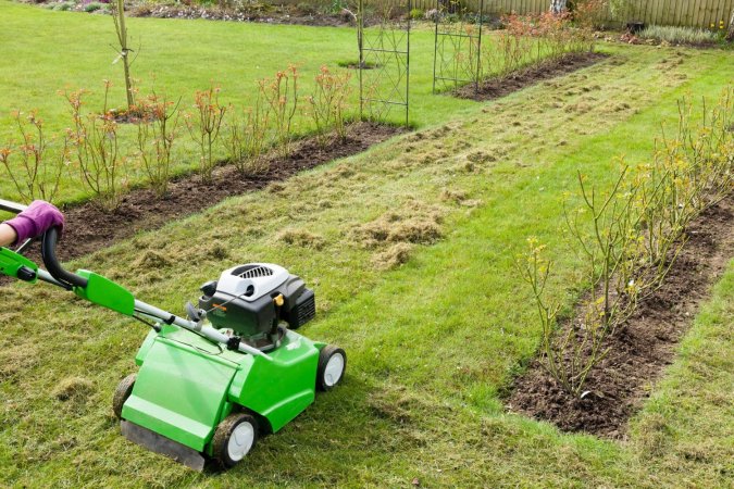 The Best Dethatching Blades Options