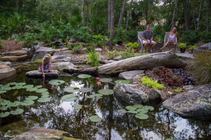 A backyard pond with trees in the background