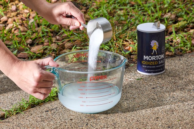 Woman makes a saltwater solution in a large measuring cup, on a driveway with weeds in its cracks.