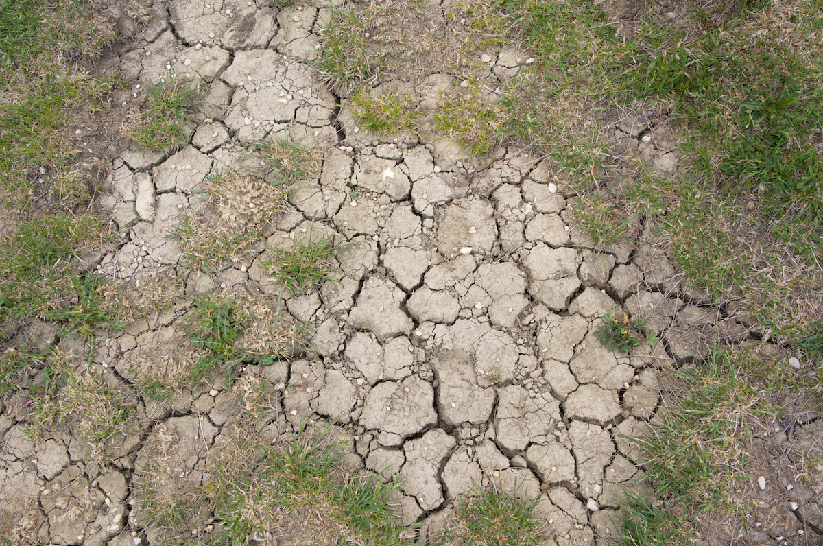 water restrictions drought landscaping