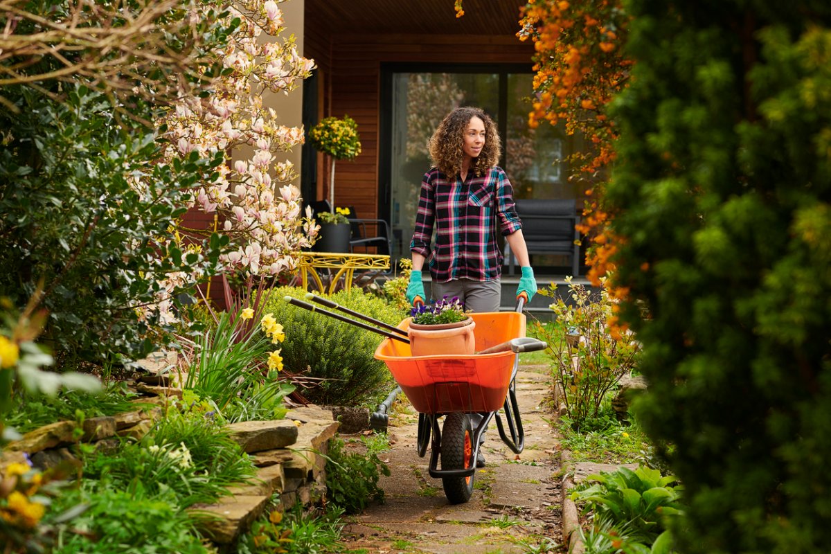 Woman with long curly hair pushes an orange wheelbarrow down a path in her garden.