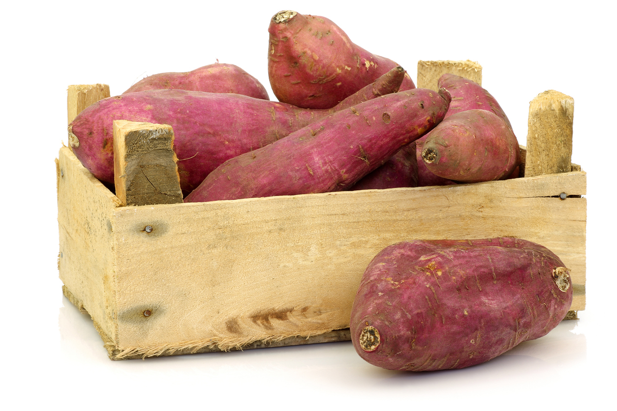 how to grow sweet potatoes