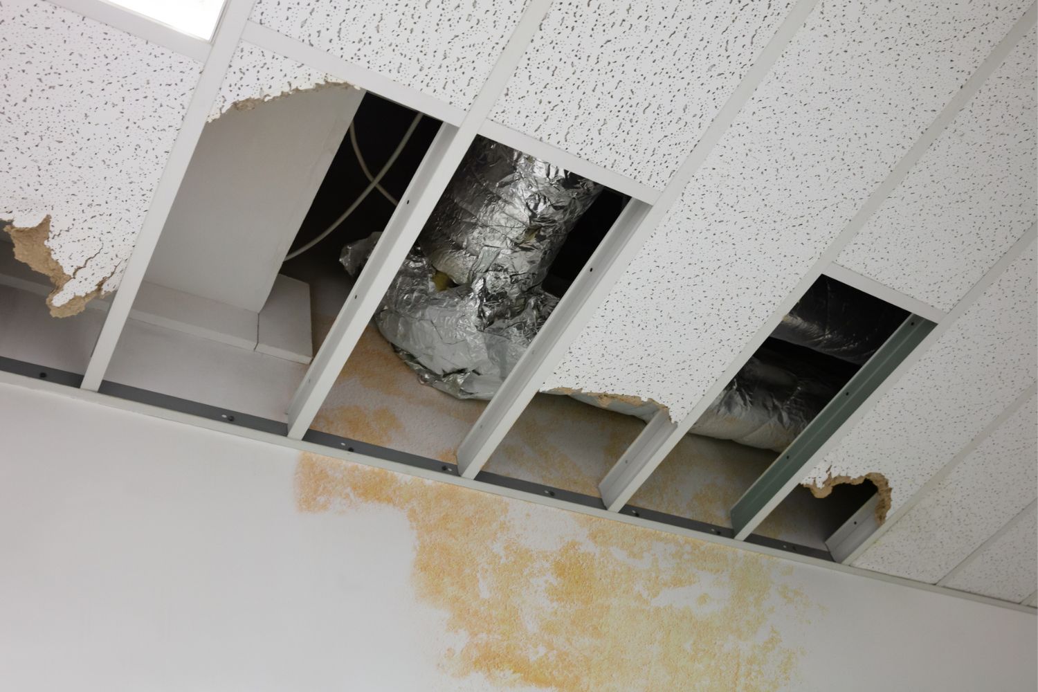 Water Damage Restoration Cost