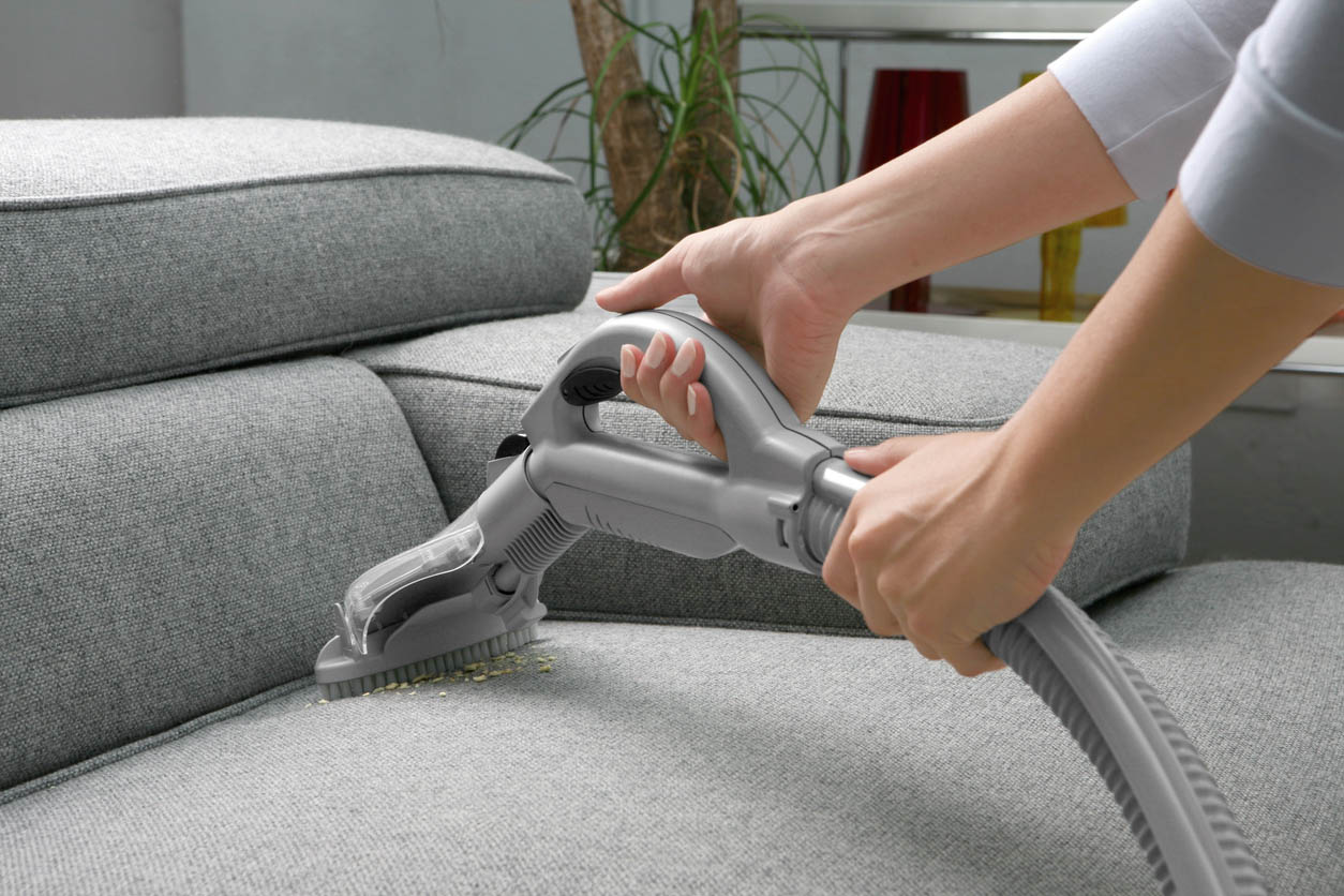 A close-up of someone vacuuming a gray fabric couch with plants in the background.