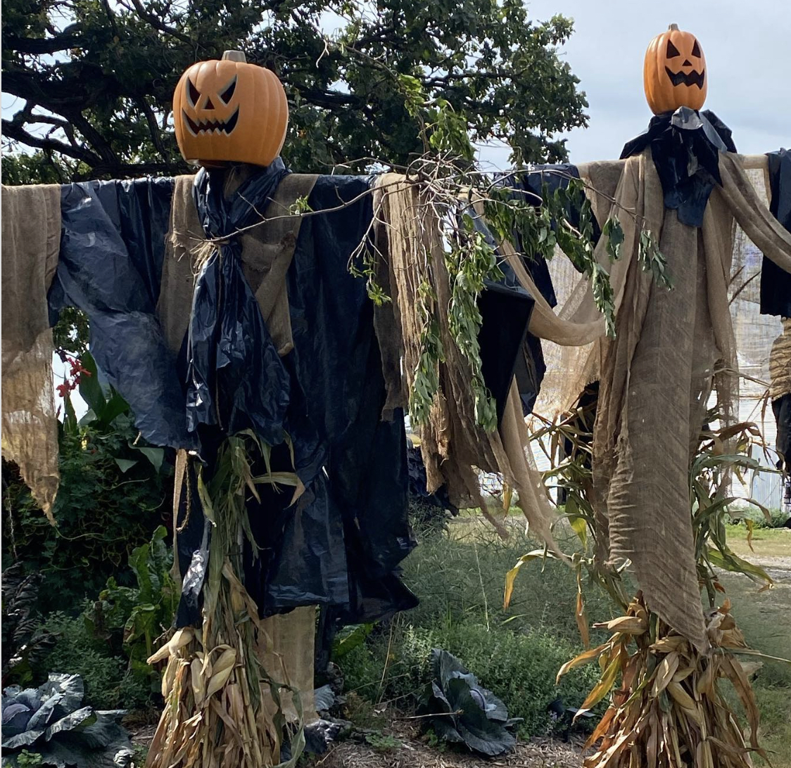 diy halloween yard decorations