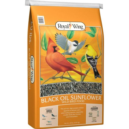  The Best Birdseed Option: Royal Wing Black Oil Sunflower Wild Bird Food