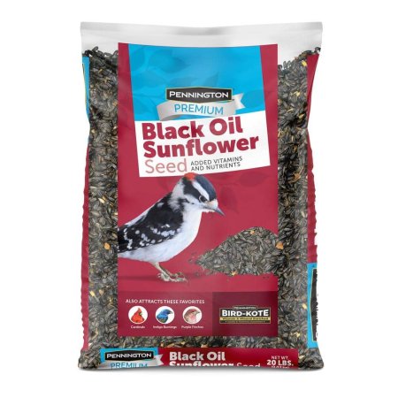  The Best Birdseed Option: Pennington 20-Pound Premium Black Oil Sunflower Seed