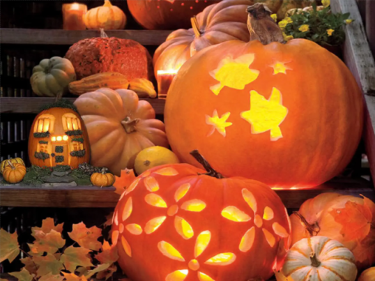 The Best Pumpkin Carving Tools - Picks from Bob Vila