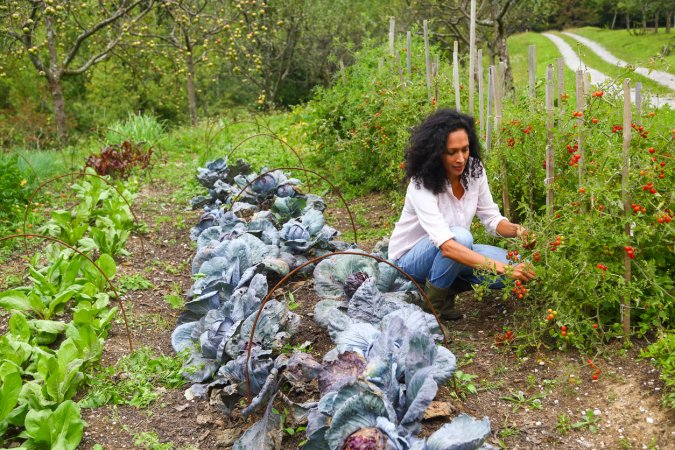 permaculture