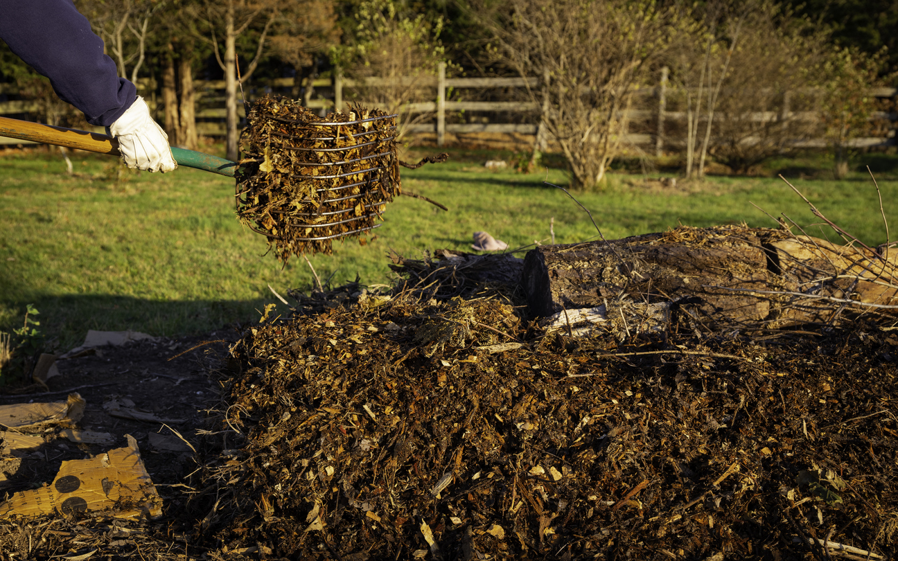 permaculture