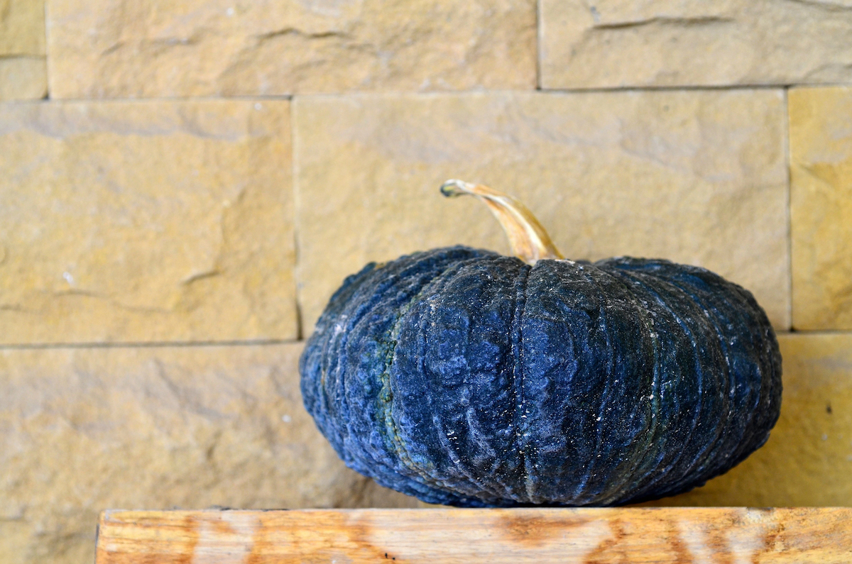 A blue decorative pumpkin is on a stone table in front of a stone wall.