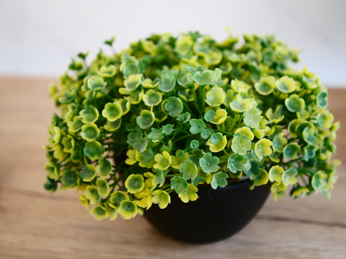 fake plants plastic pot with plastic bush tree