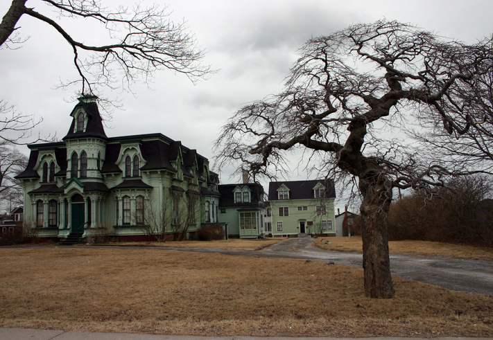 Haunted house styles gothic green house with winter trees