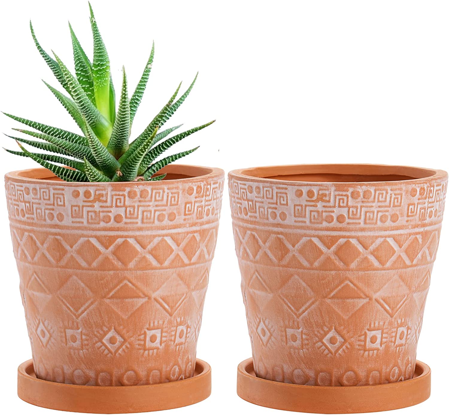 Amazon outdoor living terra cotta pots