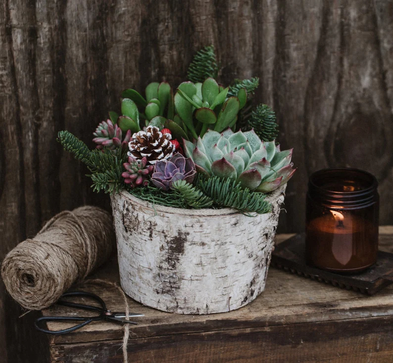 Etsy winter decor ideas basket of succulents