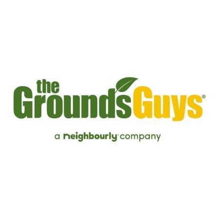  The Best Christmas Light Installation Services Option The Grounds Guys