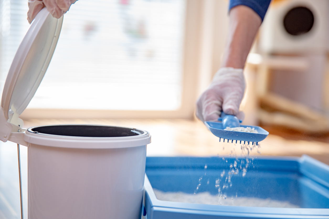 iStock-1218969224 work gloves cleaning out litter box