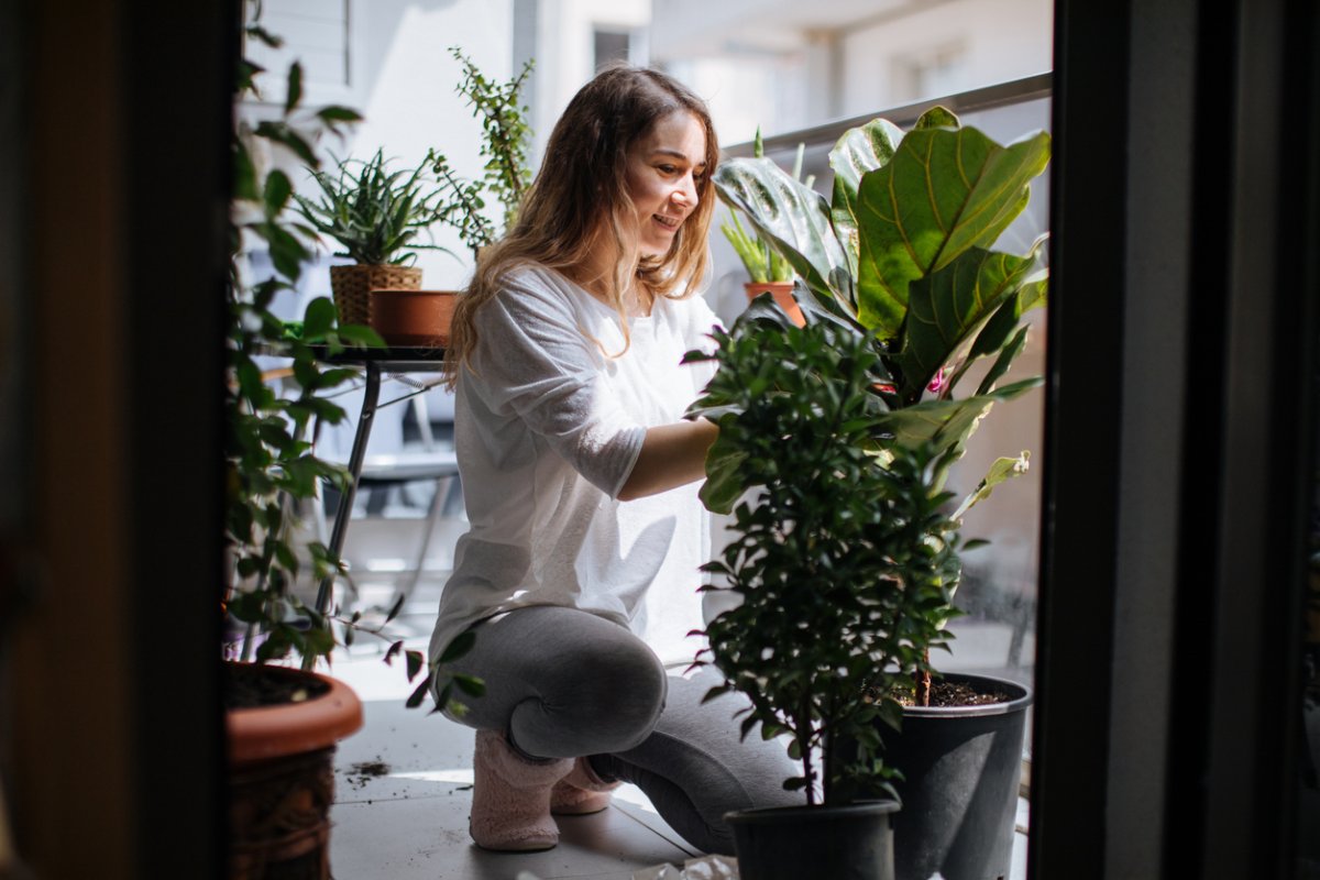 iStock-1223266971 houseplants woman working with plants