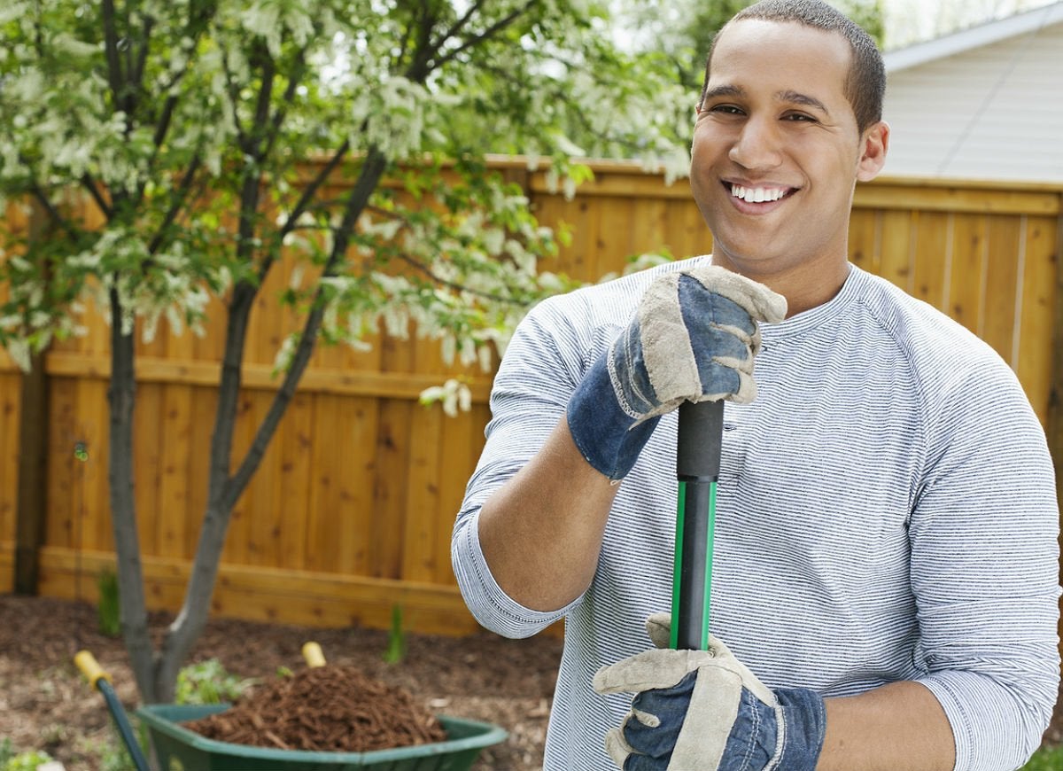 Landscaping Ideas Around Trees