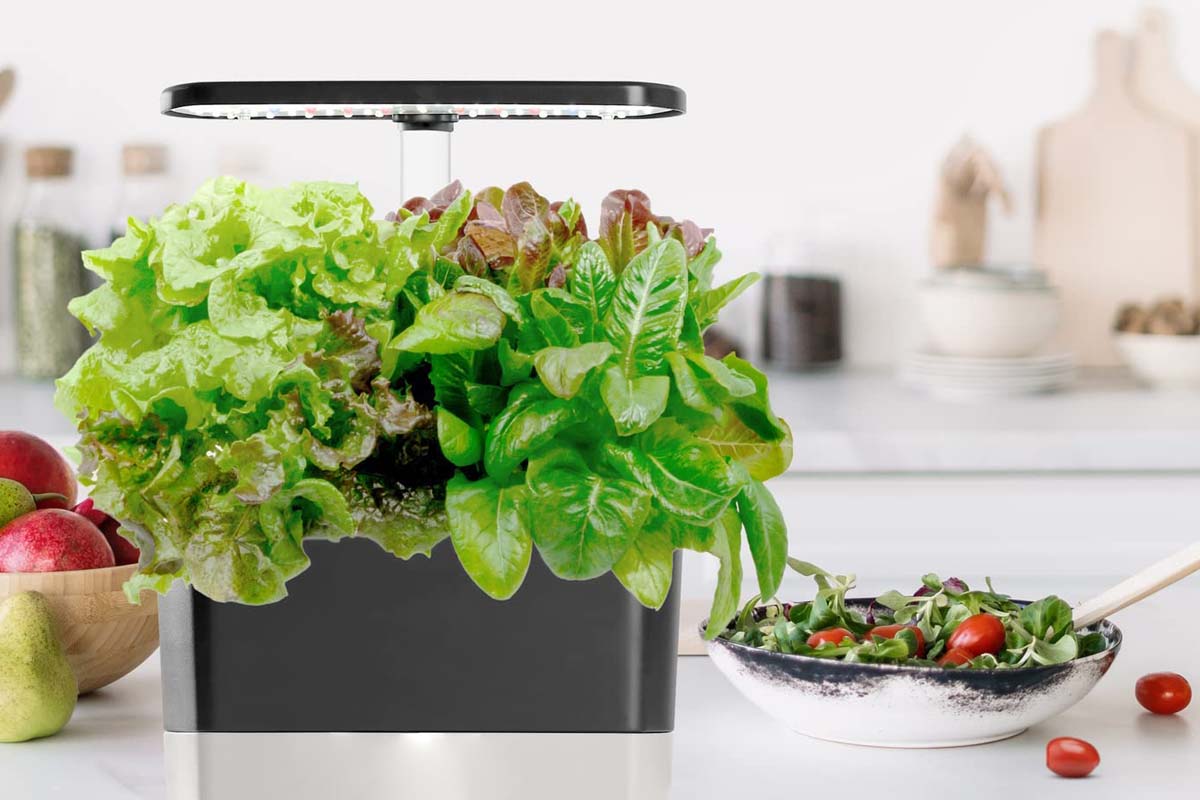 The Best Lawn and Garden Product Option AeroGarden Harvest Indoor Garden