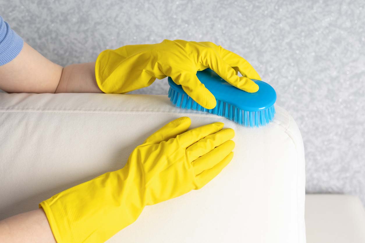 Upholstery Cleaning Cost