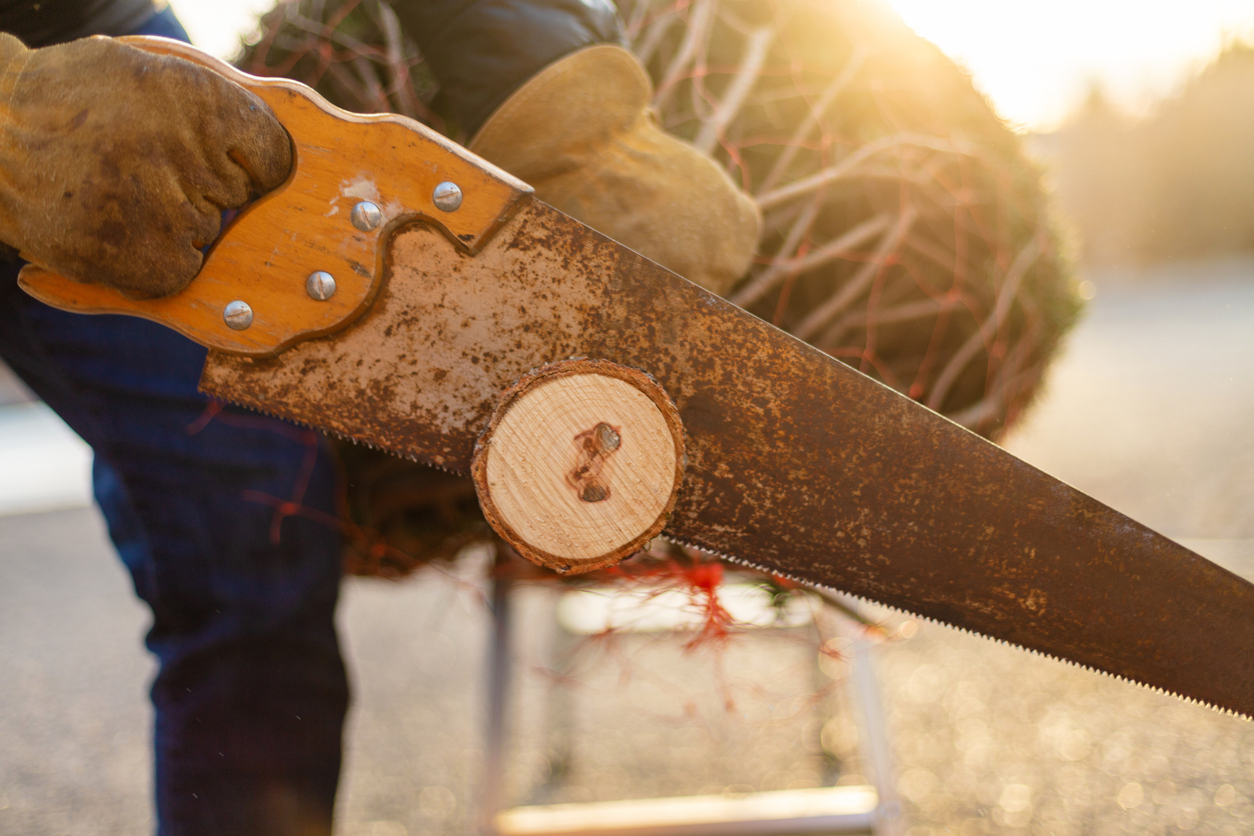 iStock-1293260020 must dos January cutting christmas tree trunk.jpg