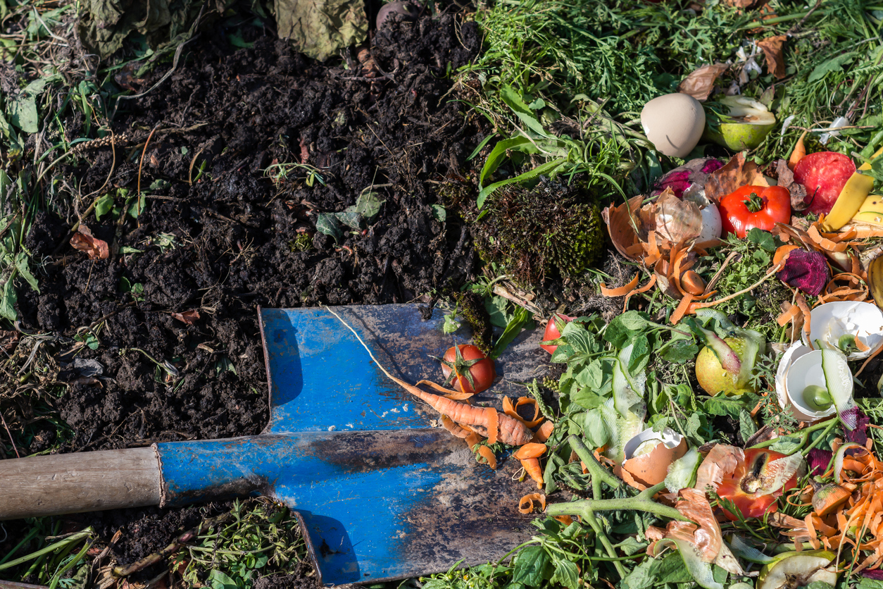 what is blood meal shovel moving composting in soil