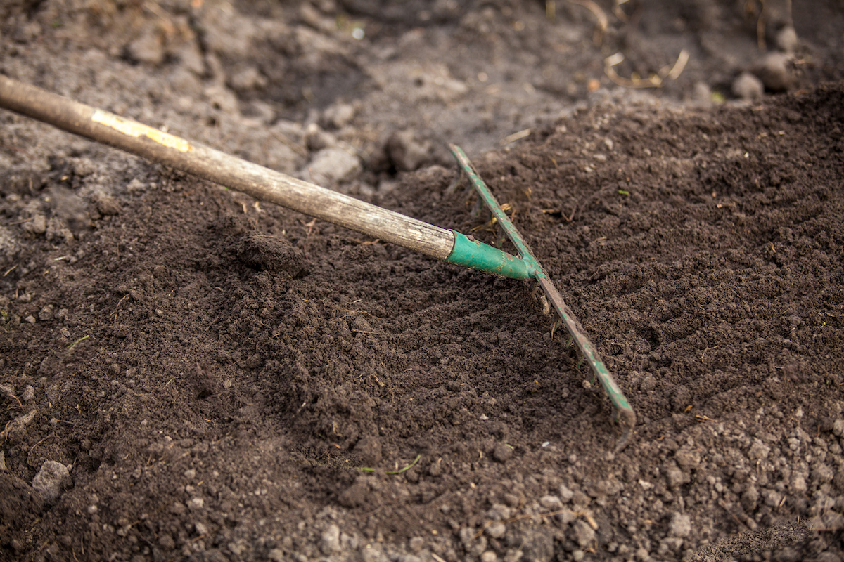 What Is Blood Meal and How Can I Use It in My Garden? - Bob Vila