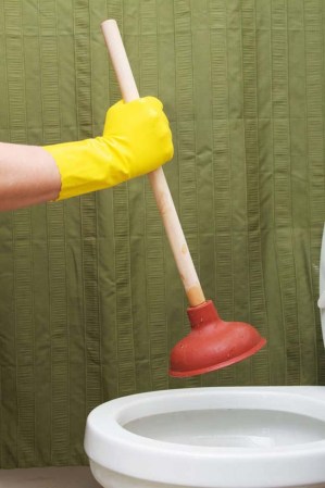 Here's How to Correctly Use a Toilet Plunger