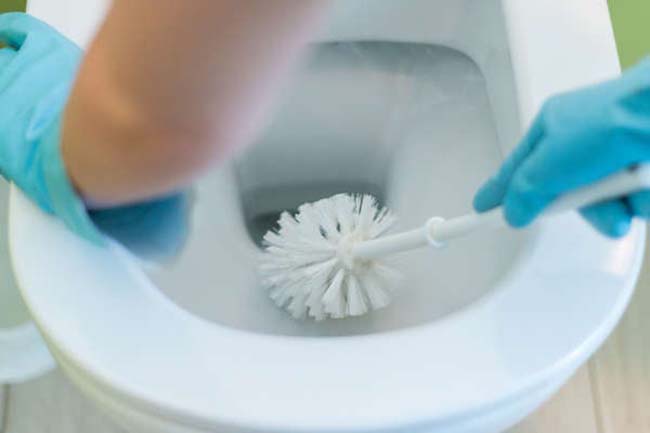 toilet brush unclog