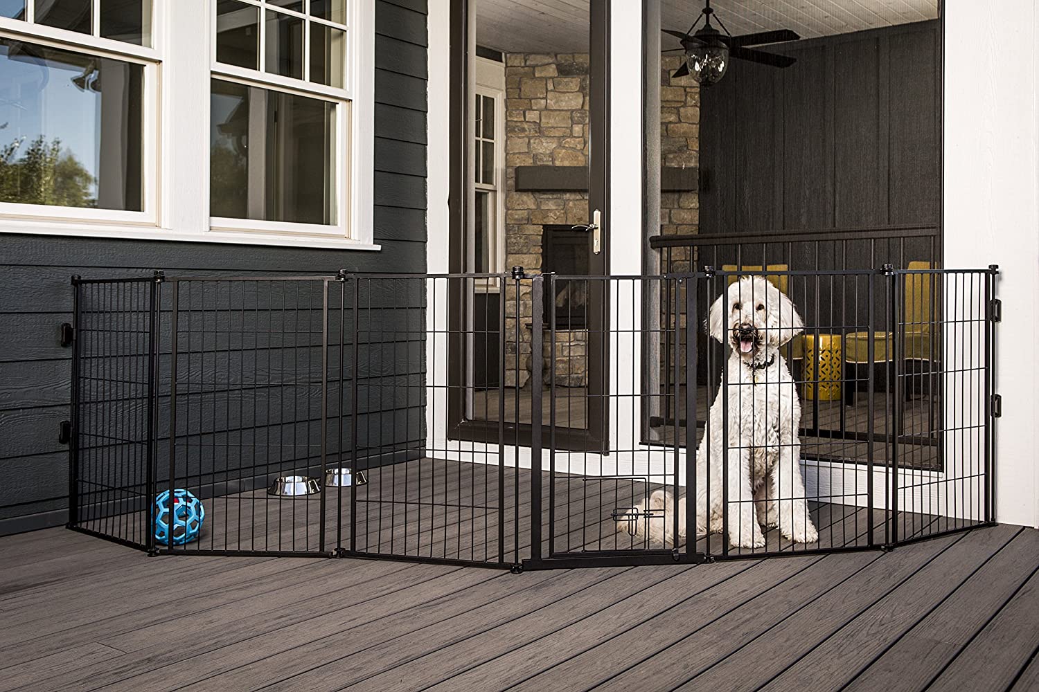 The Best Dog Gates Options